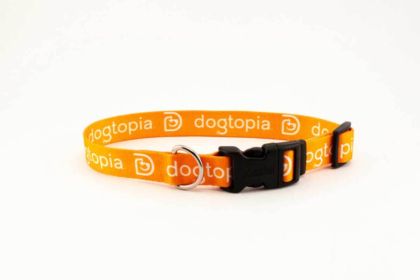 Dogtopia Dog Collar 1" DOGTOPIA C6922DTA1420