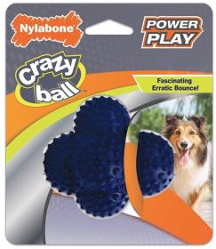 Nylabone Power Play Crazy Ball Dog Toy Large 1 count