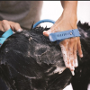 New Pet Bathing Tool Comfortable Massager Shower Tool Cleaning Washing Bath Sprayers Dog Brush Pet Supplies XH