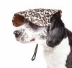 Pet Life 'Cheetah Bonita' Cheetah Patterned Uv Protectant Adjustable Fashion Dog Hat Cap