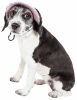 Pet Life 'Botanic Bark' Floral Uv Protectant Adjustable Fashion Canopy Brimmed Dog Hat Cap