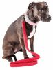 Pet Life 'Aero Mesh' Dual Sided Comfortable And Breathable Adjustable Mesh Dog Leash