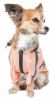 Dog Helios 'Torrential Shield' Waterproof Multi-Adjustable Pet Dog Windbreaker Raincoat