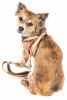 Pet Life Luxe 'Dapperbone' 2-In-1 Mesh Reversed Adjustable Dog Harness-Leash W/ Fashion Bowtie
