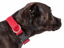 Pet Life 'Aero Mesh' 360 Degree Dual Sided Comfortable And Breathable Adjustable Mesh Dog Collar