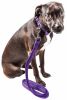 Pet Life 'Aero Mesh' 2-In-1 Dual Sided Comfortable And Breathable Adjustable Mesh Dog Leash-Collar