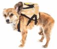 Pet Life 'Teddy Tails' Dual-Pocketed Compartmental Animated Dog Harness Backpack
