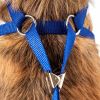 Pet Life Luxe 'Spawling' 2-In-1 Mesh Reversed Adjustable Dog Harness-Leash W/ Fashion Bowtie