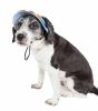 Pet Life 'Colorfur' Uv Protectant Adjustable Fashion Canopy Brimmed Dog Hat Cap