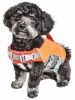 Dog Helios 'Tidal Guard' Multi-Point Strategically-Stitched Reflective Pet Dog Life Jacket Vest