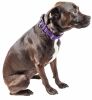 Pet Life 'Aero Mesh' 360 Degree Dual Sided Comfortable And Breathable Adjustable Mesh Dog Collar